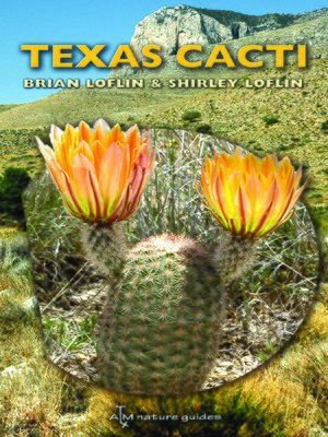 cover image of Texas Cacti